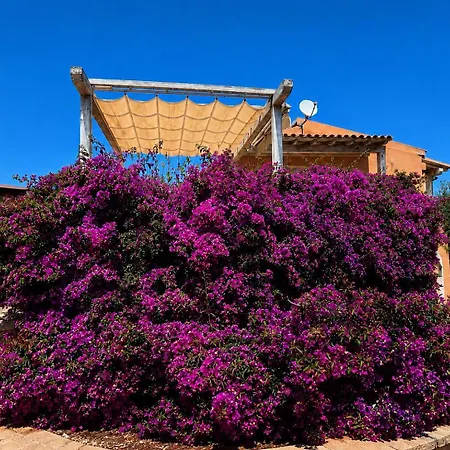 Hébergement de vacances Le Ginestre Sea View One-bedroom 100m From The And Town Center